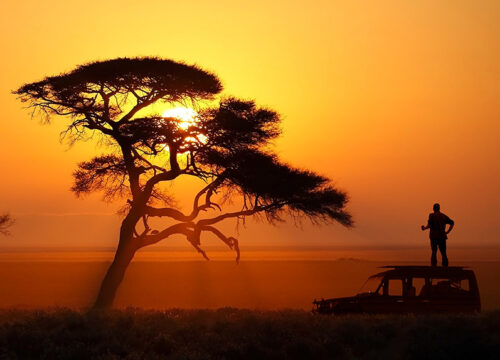 A man standing on a truck on the African Plains